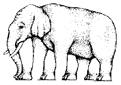 Impossible Elephant - Roger N. Shepard