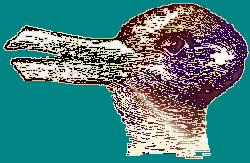 Rabbit Duck Optical Illusion