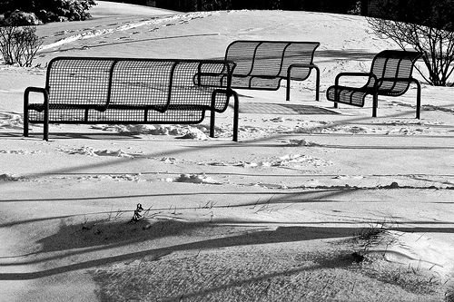 Park Bench Optical Illusion