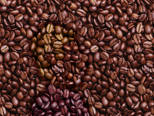 Coffee Bean Man - Optical Illusion