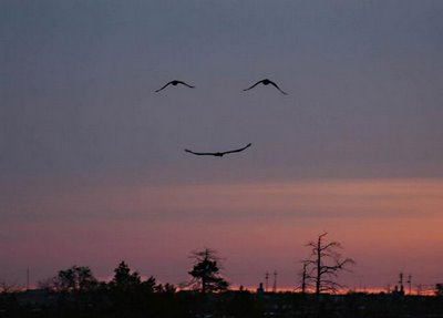 Accidental Smiley Illusion