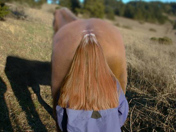 Horse Tail Illusion