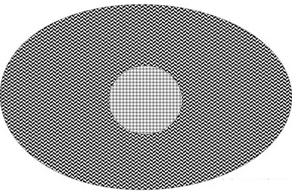 Crazy Motion Illusion