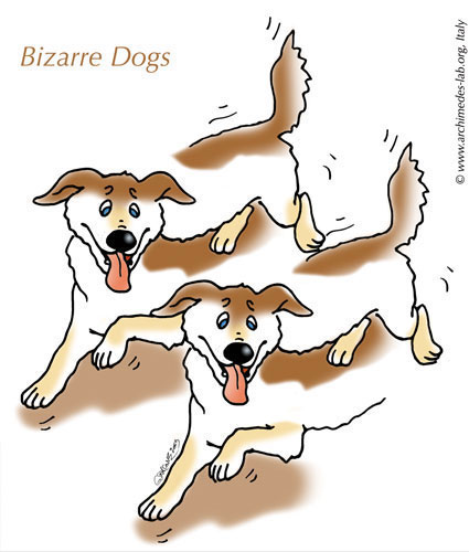 Bizarre Dogs