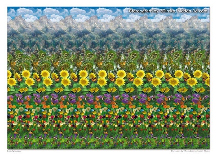 Butterfly Meadow Stereogram by 3Dimka