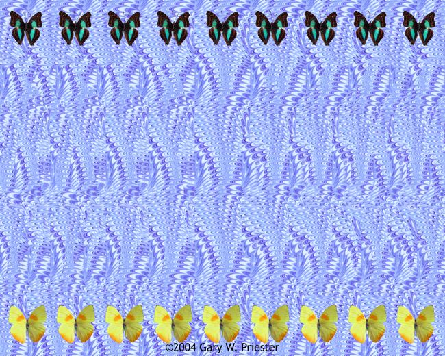 butterfly - Stereographic Images