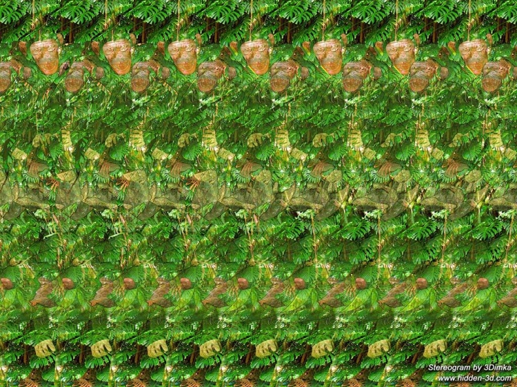 Meanwhile in Jungle Stereogram by 3Dimka