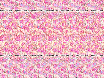 Marry Me Stereogram - Pink