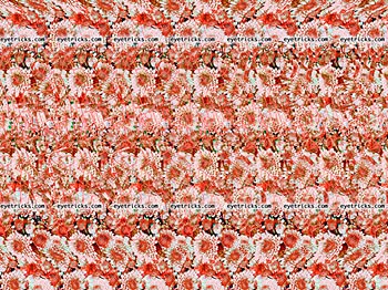 Marry Me Stereogram - Red
