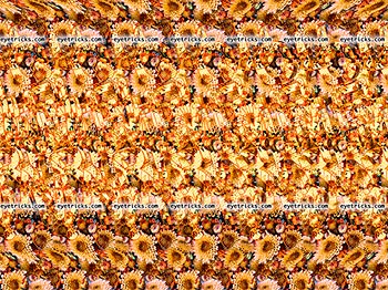 Marry Me Stereogram - Yellow