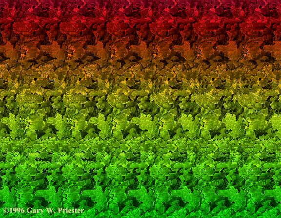 Stereograms!